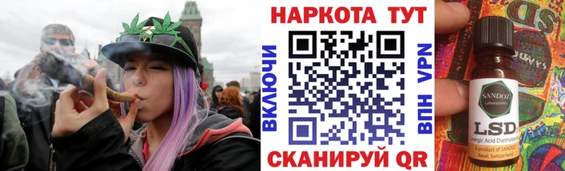 Псилоцибиновые грибы Вязьма