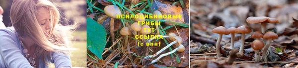 СК Белокуриха
