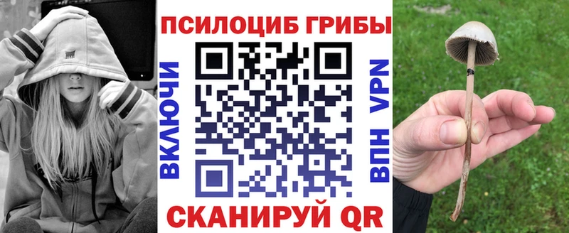 Псилоцибиновые грибы Psilocybine cubensis  Вязьма 